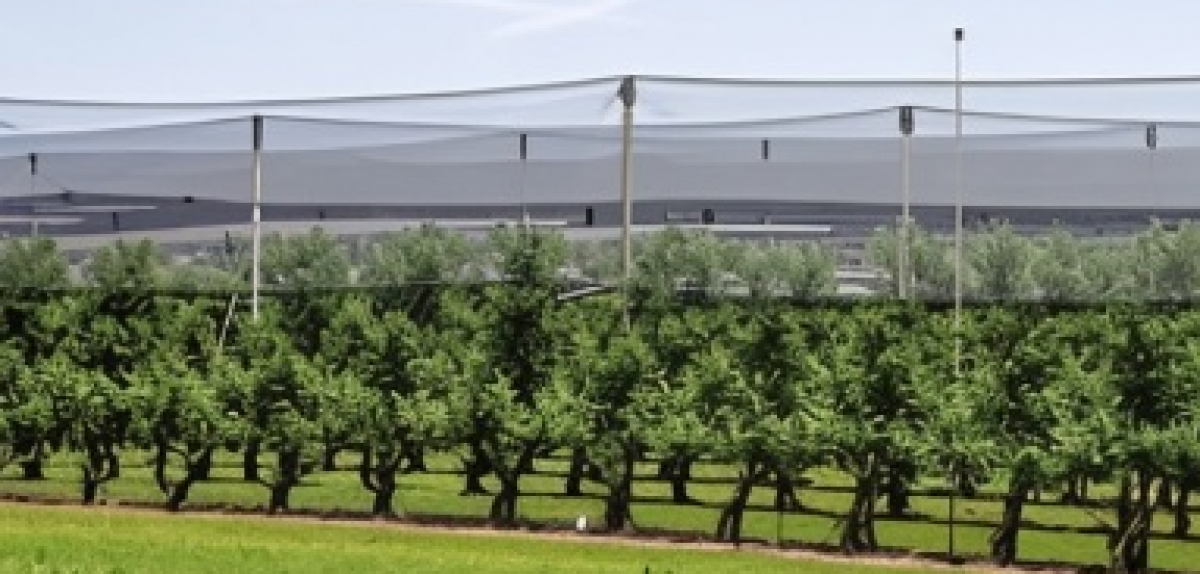 Дізнайтеся про прості та ефективні рішення «під ключ» для ягдіництва на SmartBerry 2025!